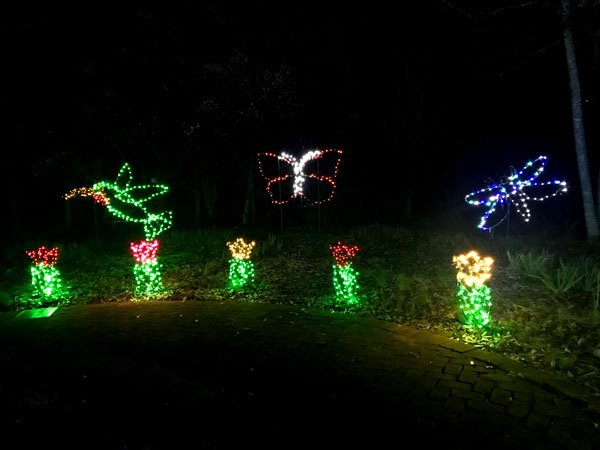 birds, butterfly and  dragonfly in lights